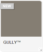 GULLY™